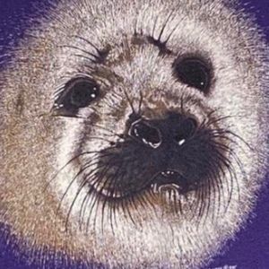 Meet your Posher, Milos